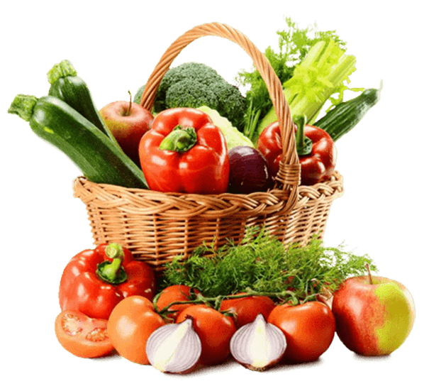 About Tiger Agencies