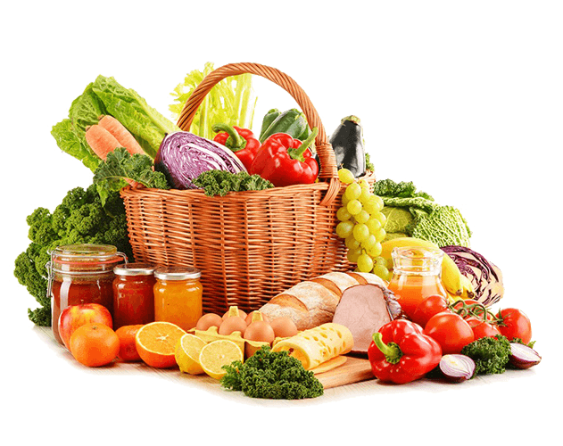 Tiger Agencies Jalandhar