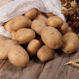 Potato